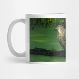 Juvenile Night heron Mug